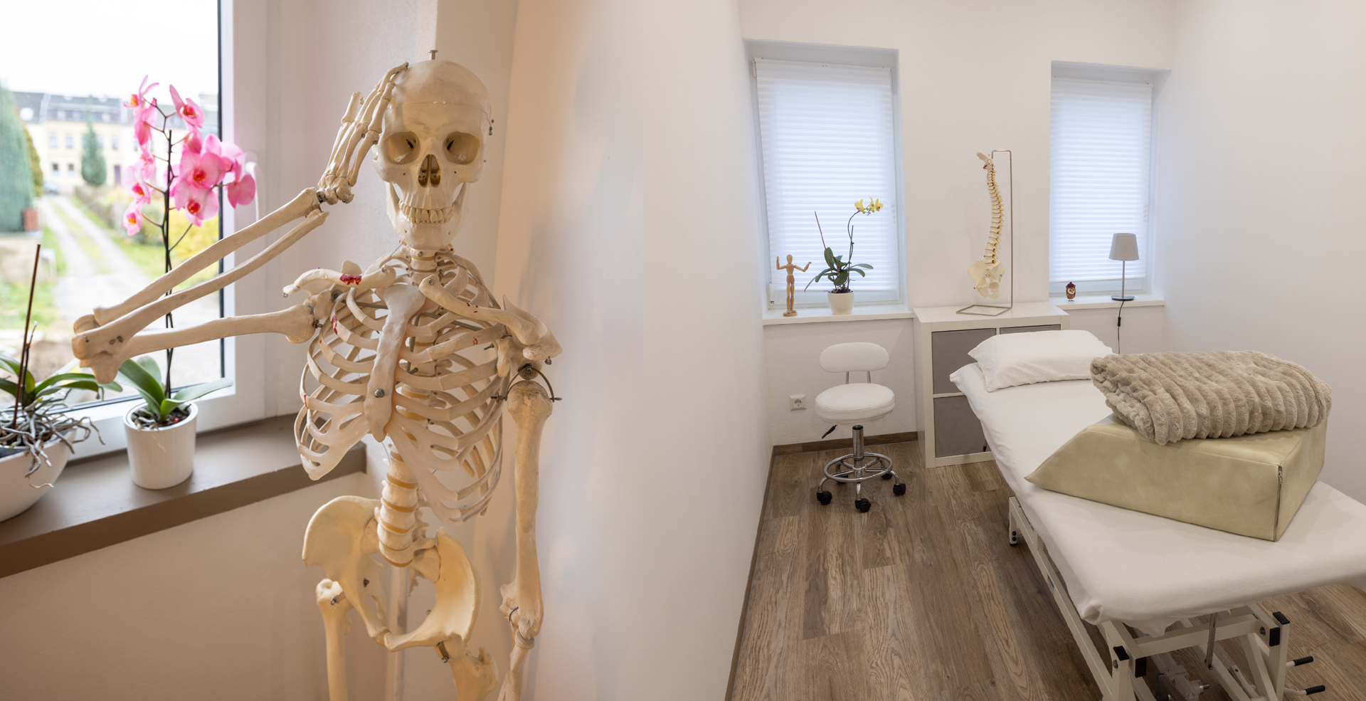 Das Bild zeigt ein menschliches Skelett und einen Behandlungsraum der Physiotherapie Hentschel